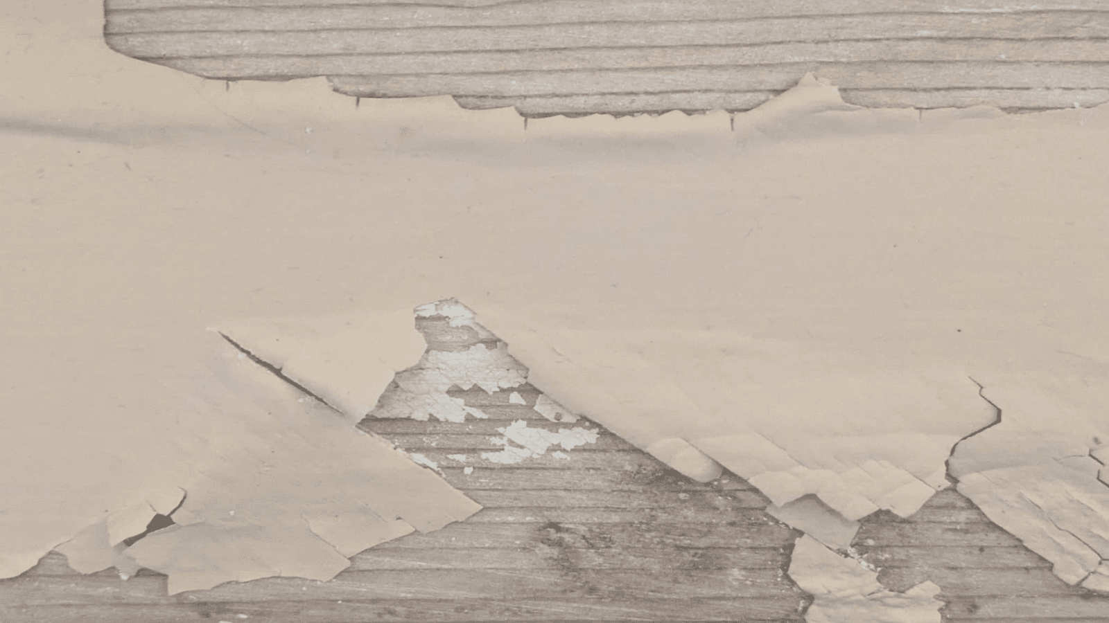 Prevent childhood lead poisoning with Lead-Safe Homes Program